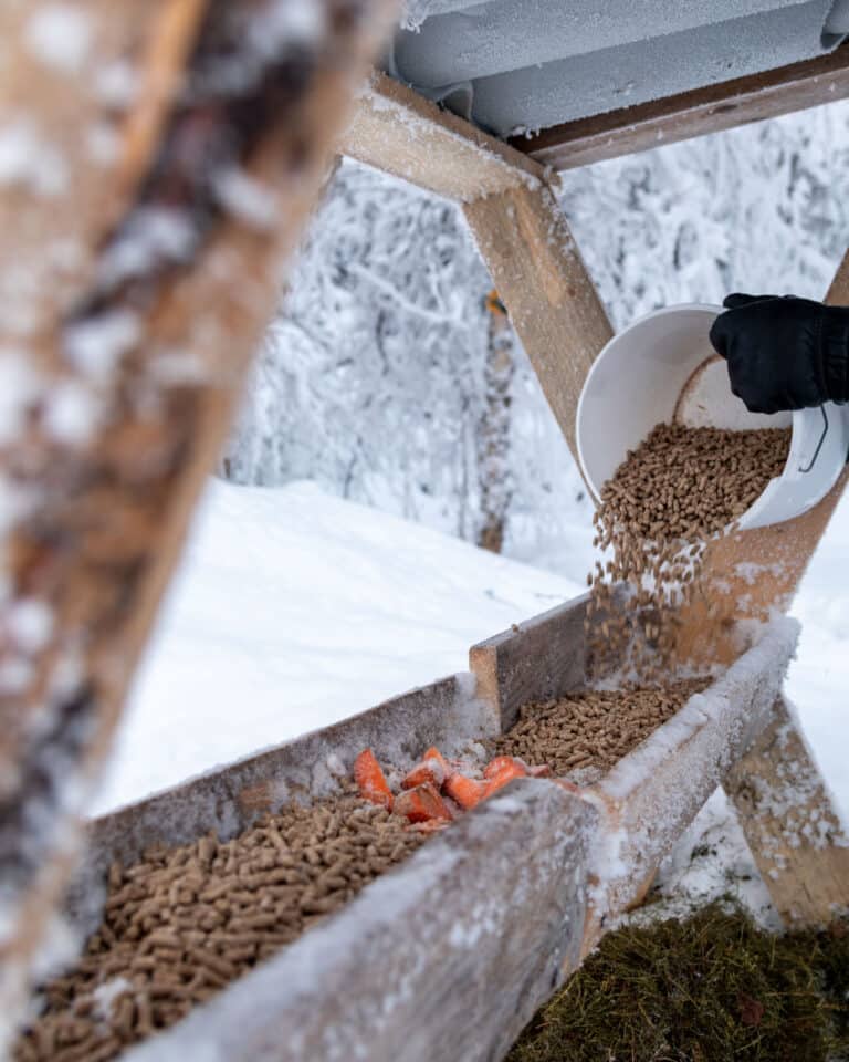 Hankkija somekuvat helmikuu 2026